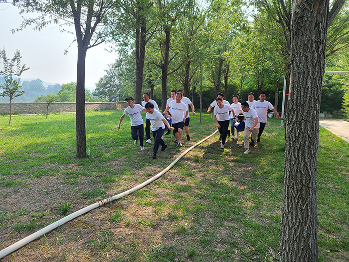 1625543019948897p5xG.jpg 图片02 700px.jpg